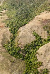 Aerial view of degraded rainforest in New Caledonia