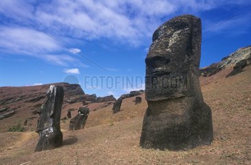 Rano Raraku Moai on the Island of Easter in Chile