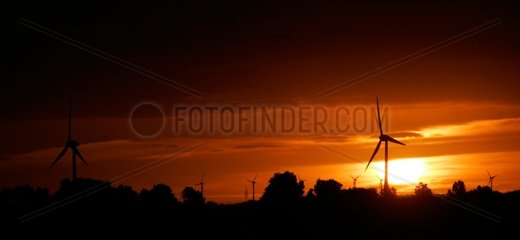 Windmühlen in einem Polder in Sunrise Deutschland