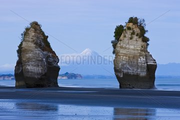 Sea stacks with Mount Taranaki in background New Zealand