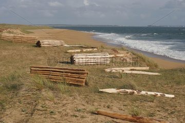 Pose of lattice fences to protect dunes Erdeven France