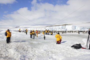 Tourists watching a colony of Emperor penguins Antarctica