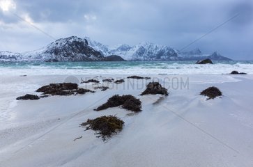 Utakleiv beach - Lofoten Norway