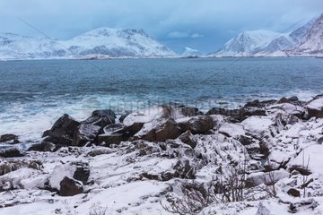 Coastal landscape - Lofoten Norway