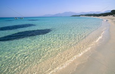 Désert des Agriates  la plage de Saleccia  eau turquoise