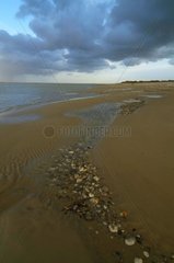 Ponds and pebbles on a sand beach Bay Somme
