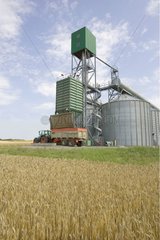 Vue des silos de coopératives agricoles durant la moisson