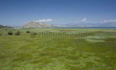 Meadow at Lake Skadar in Montenegro