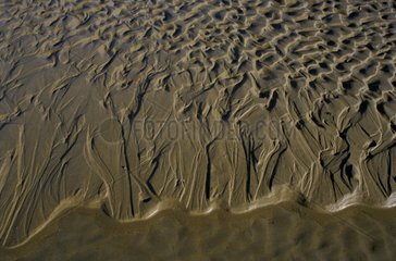 Spur der Wellen am Sand bei niedriger Bass-Normandie-Flut