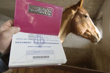 Horse and its identification notebook France