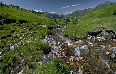 Stream and subalpins meadows in Catalonia - Spain