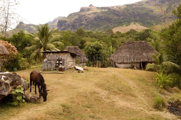 Mélanésiennes Kisten im Dorf der Navala Fidschi -Inseln