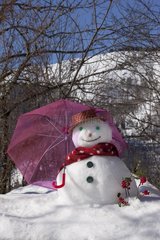 Snowman carrying an umbrella