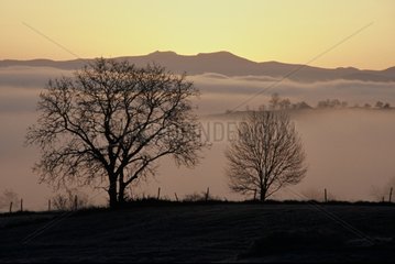 Morning fog under the mountains of Auvergne in winter