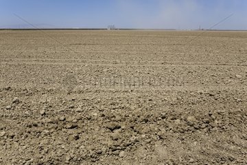 Letzter nackter Boden vor Kultivierung Kalifornien USA