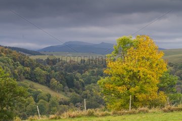Cantal landscape in autumn with view on the Puys - France