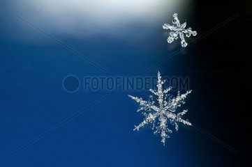Snow crystals