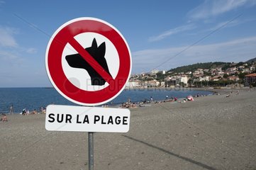 Sign No dogs on the beach of Banyuls France