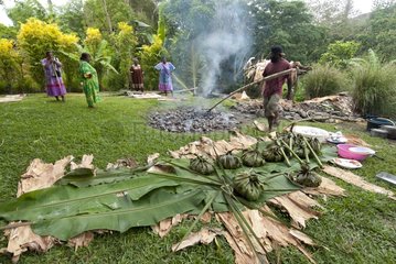 Preparation of bougna tribe in New Caledonia