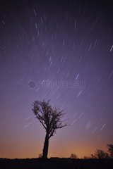 Rotating starry sky above a tree France