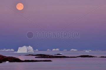 Moonrise and Icebergs - Scoresbysund Greenland