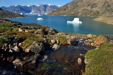 Icebergs in the Nordvest Fjord - Greenland