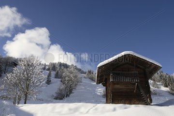 Traditional cottage in the Massif of Aravis in winter France