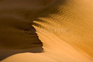 Crest of a dune in the desert of Al Qabil in Oman