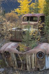 Alte Fahrzeuge in der North Canol Road Yukon Canada