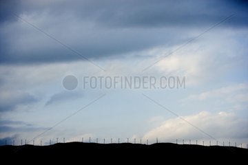 Windmühlen la Mancha Castille Spanien