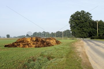 Manure pile in a field - Normandy France