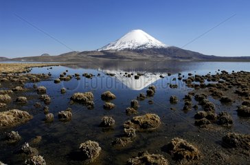 Lake Chungara and Parinacota volcano Lauca NP Chili