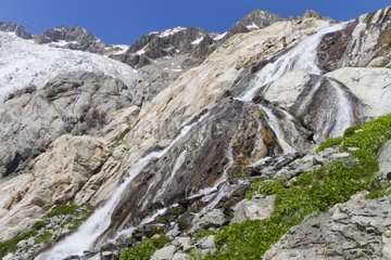 Torrent melting and Glacier blanc NP Ecrins Alps France