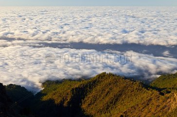 PN sea of ??clouds from the caldera of Tauburiente island of La Palma