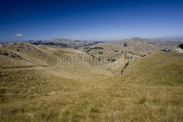 Rolling hills around Napier North Island New Zealand