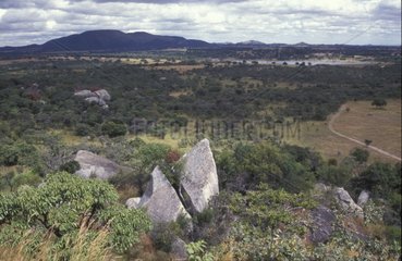 Haut plateau de Guruve Vallée du Zambèze Zimbabwe