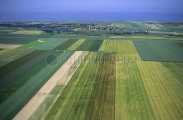 Vue aérienne des champs de la côte picarde France