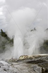 Pohutu geyser erupting in Te Puia Thermal Reserve