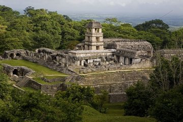 Maya ruins in the jungle of Palenque Mexico