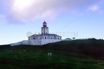 Lighthouse and meadows at the close of the day Portugal