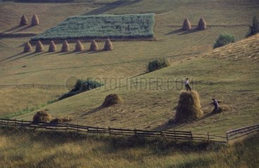 Haystacks Romania [AT]