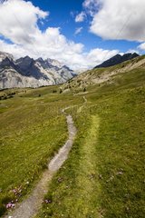 Parallel path and feel - Mountain Ubaye Alps France