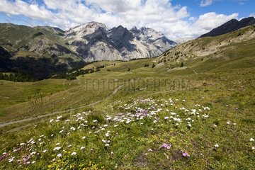 Alpine landscape - Mountain Ubaye Alps France