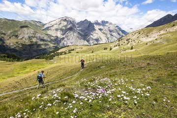 Hikers on trail - Mountain Ubaye Alps France
