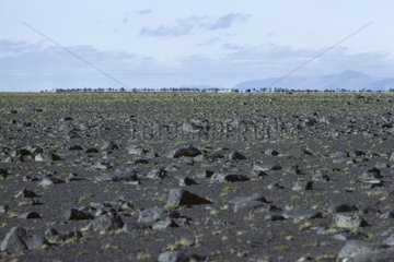 Mirage in the desert of Odadahraun Iceland