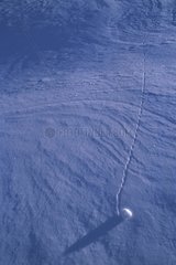 Petite boule de neige et sa trace sur champ de neige Alpes