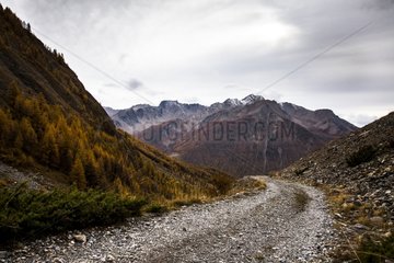 Alp trail in Autumn - Ubaye Alps France