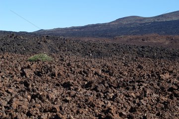 Sol volcanique de la caldeira du Pic du Teide Canaries