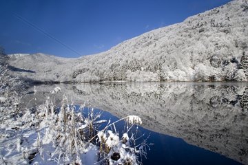 Sewen lake in winter in the Haut-Rhin