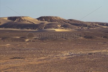 Plateau avant l'arrivée à la palmeraie de Tigris Tchad
